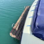 bathing platform