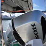 outboard engine