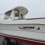 arvor out of water