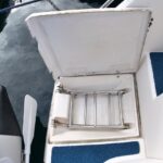 swim ladder