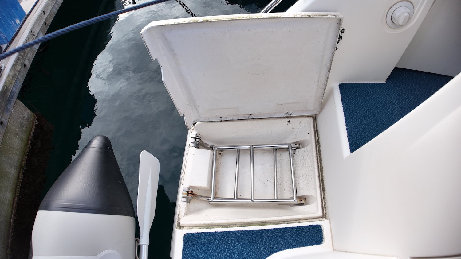 swim ladder