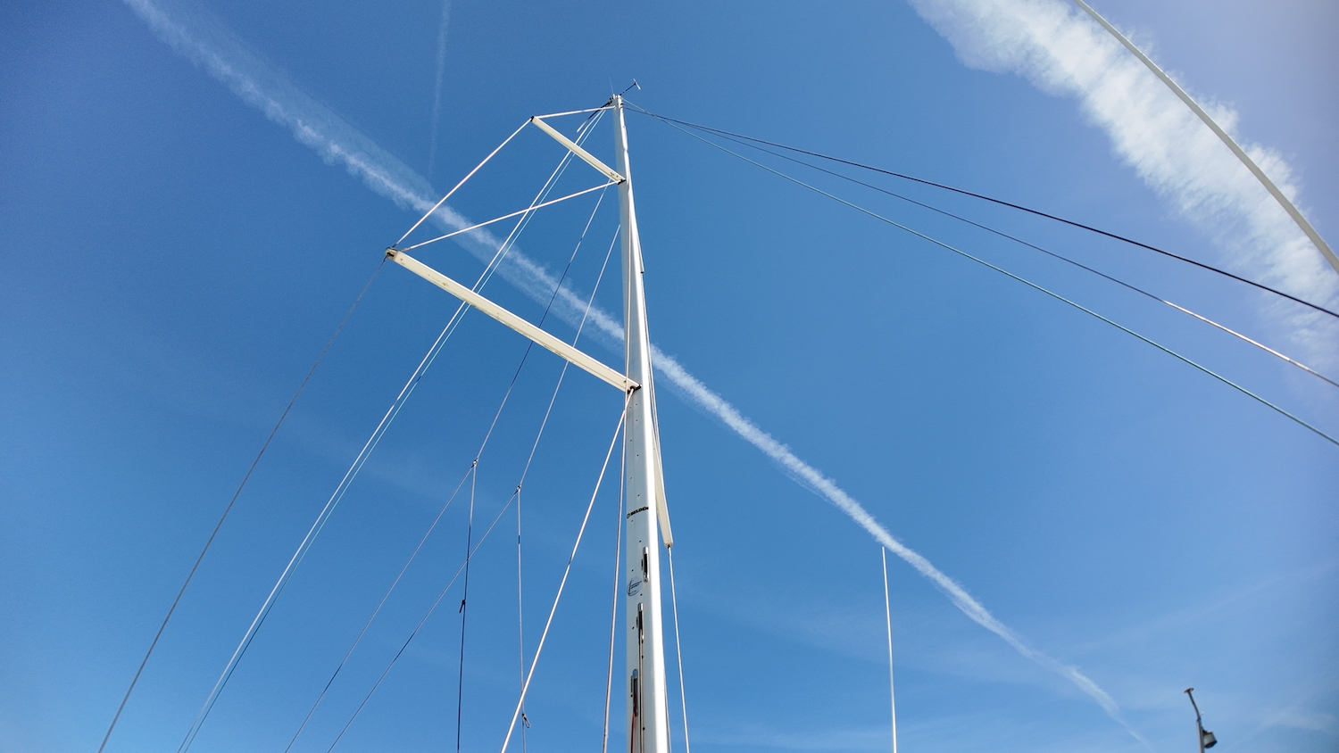 mast mojito
