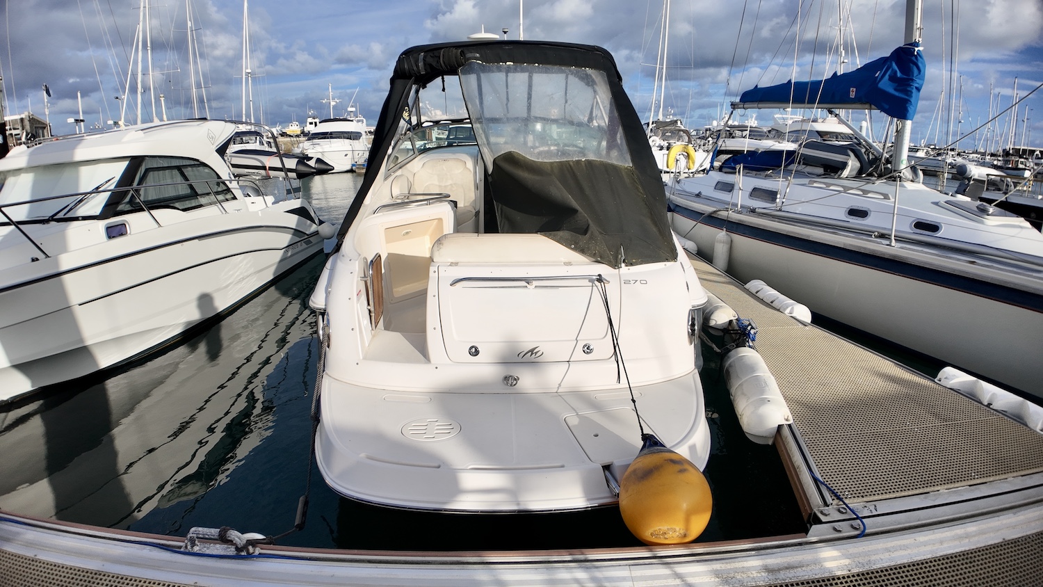 stern