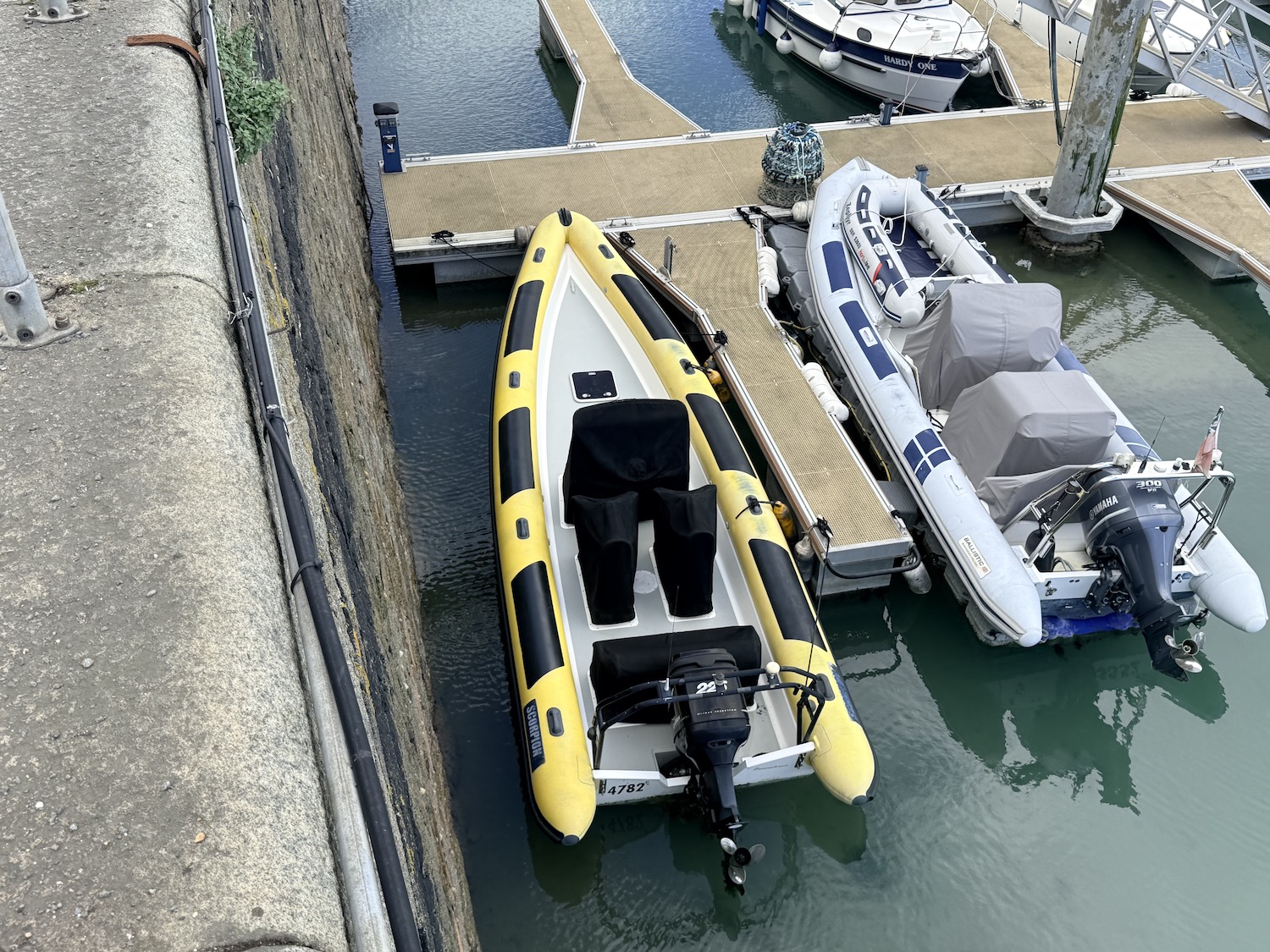 rib for sale