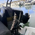 mercury outboard